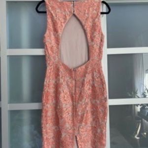 Calvin Klein Sz 2 Cut Out Back Pink/Peach Floral Lace